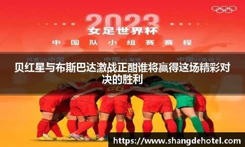 贝红星与布斯巴达激战正酣谁将赢得这场精彩对决的胜利
